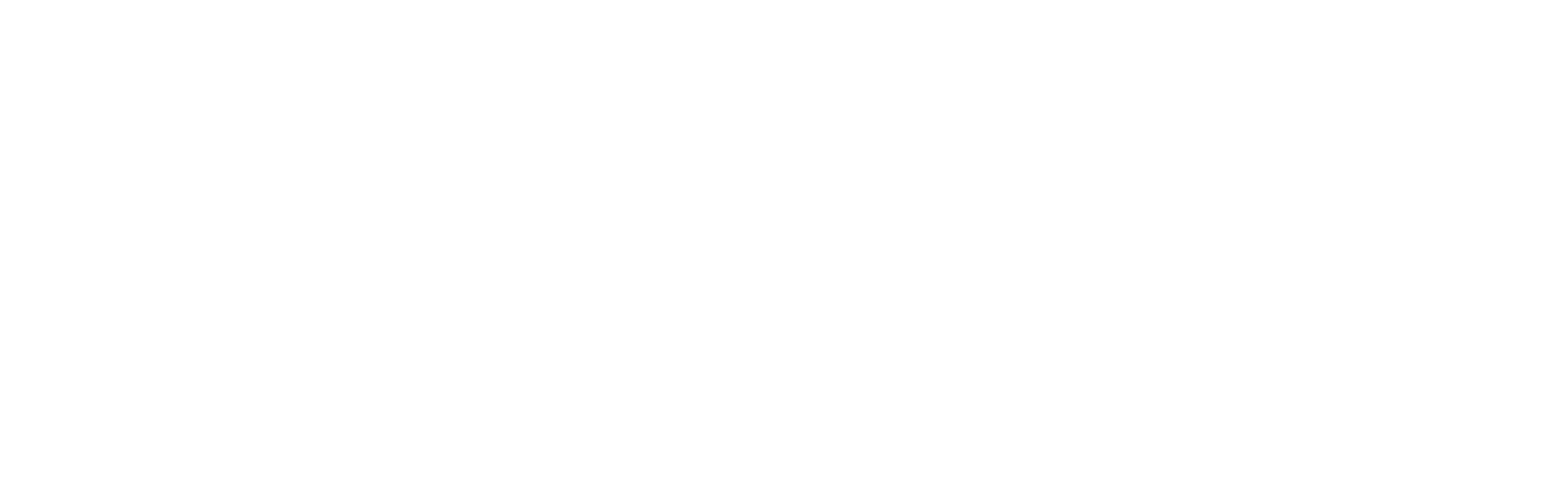 MSFF